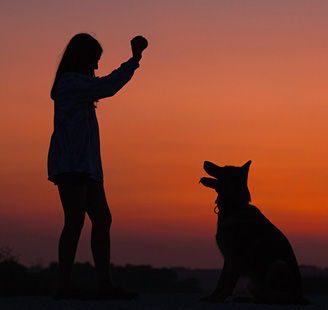 Girl holding ball during sunset while dog patiently waits for her to throw it